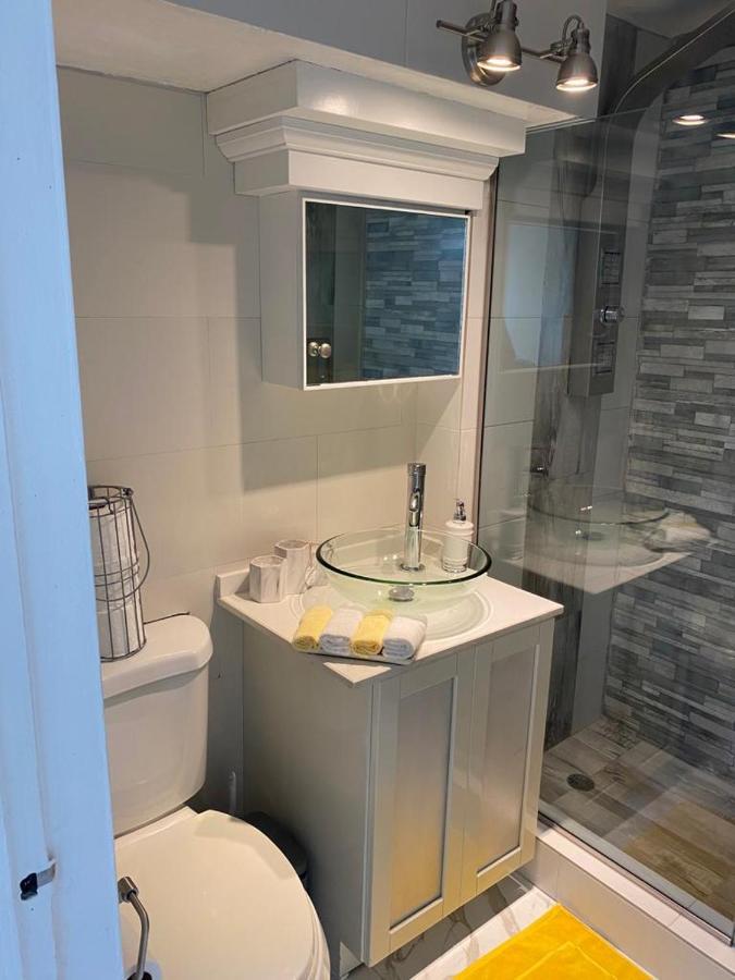 C'Daview Apartment Suite Монтего-Бей Екстер'єр фото